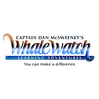 Captain Dan McSweeneys' Whale Watch Learning Adventure