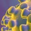 Coronavirus (COVID-19) Information, Resources, Articles & Websites