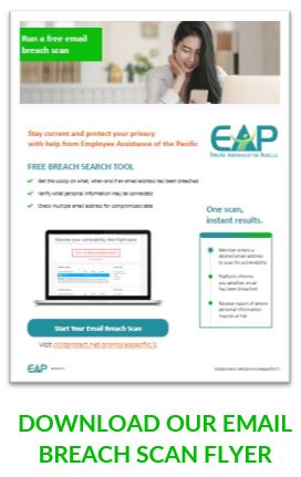 download breach scan flyer image